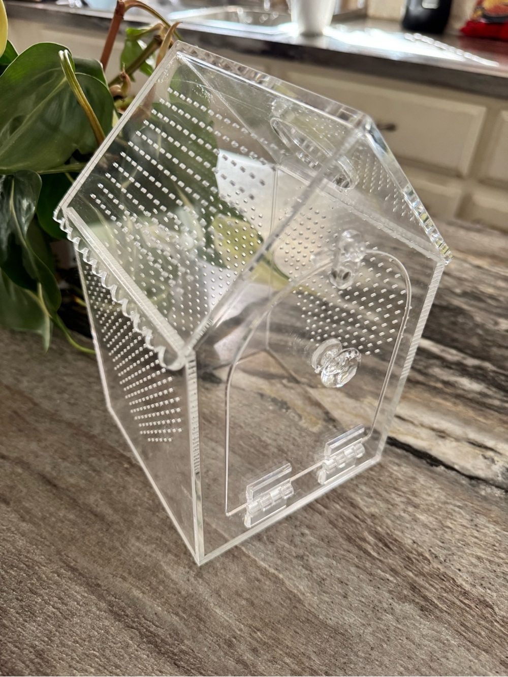 Clear Acrylic House-Shaped small pet enclosure - Picture 5 of 9
